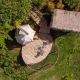 Levit Glamping